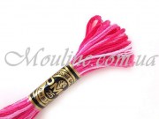 Мулине ДМС меланж 048